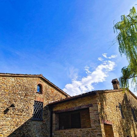 B&B Nel Vigneto Castelplanio ภายนอก รูปภาพ